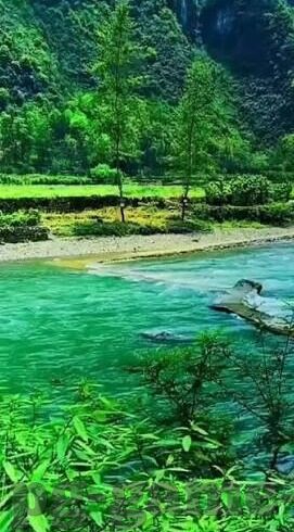 白岩松直播足球比分-白岩松直播足球比分，专业解读与激情碰撞的视听盛宴
