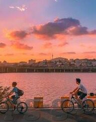 球探球即时比分足球比分-实时追踪绿茵风云，球探球即时比分——足球迷的必备利器