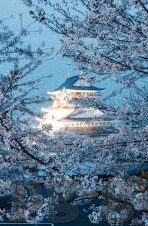 足球比分身价-足球比分与身价，一场数字背后的资本博弈与竞技真相